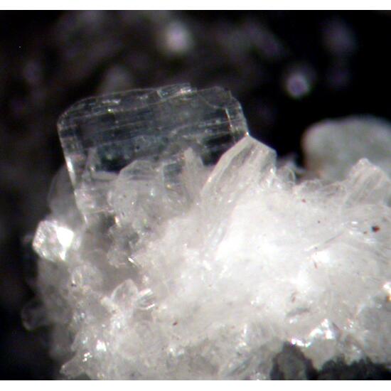 Bertrandite Apatite & Muscovite