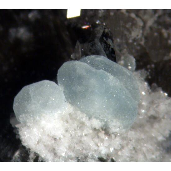 Bertrandite Apatite & Muscovite