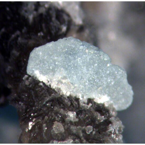 Bertrandite Apatite & Muscovite