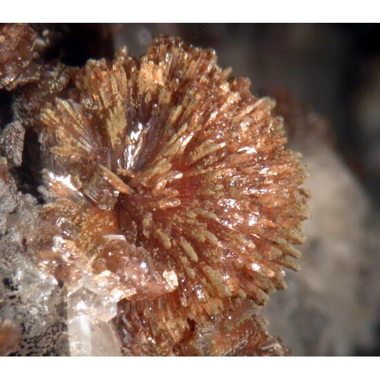 Zanazziite Eosphorite & Albite