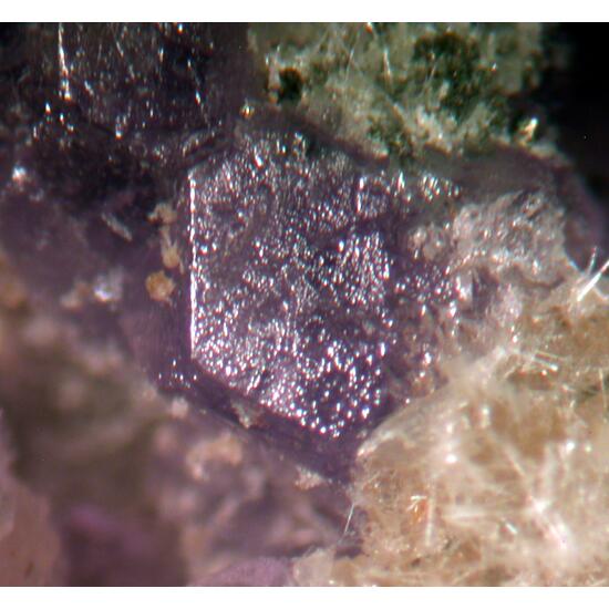 Coquimbite Goldichite & Halotrichite