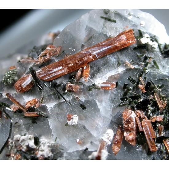 Barylite Aegirine & Amphibole