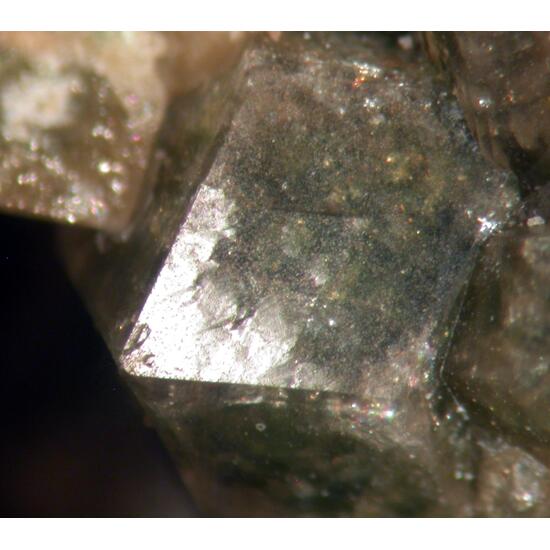 Grossular & Diopside
