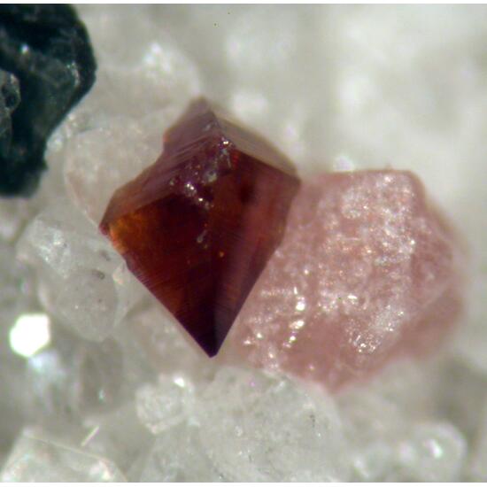 Monazite-(Ce) Anatase Pennine & Muscovite