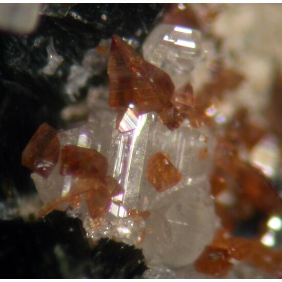 Monazite-(Ce) Anatase Pennine & Muscovite