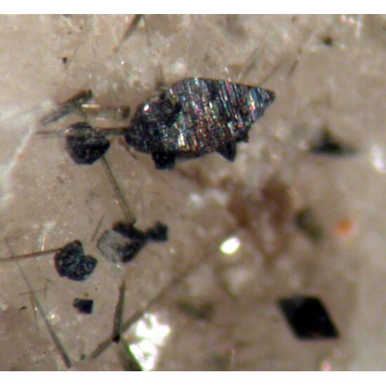 Anatase Brookite & Tourmaline