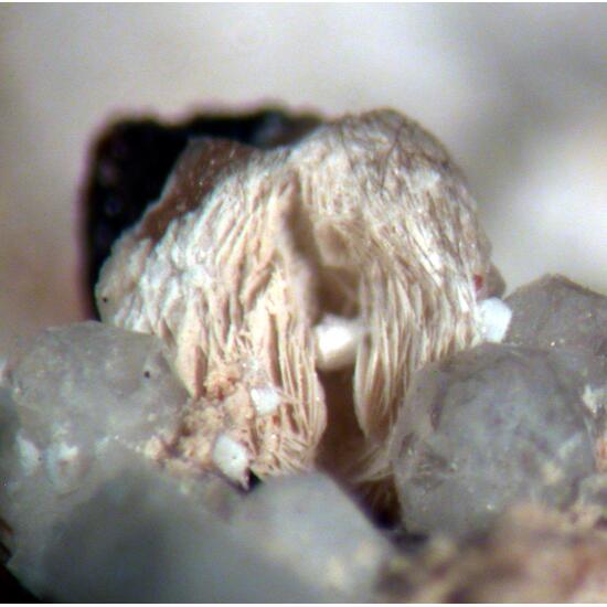 Leucophanite & Sérandite