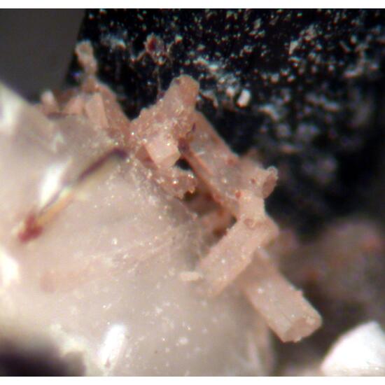 Leucophanite & Sérandite