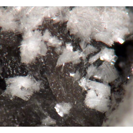 Bavenite Albite & Quartz