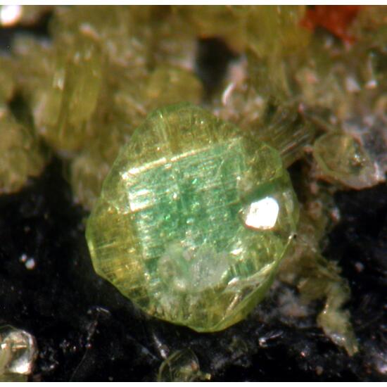 Autunite