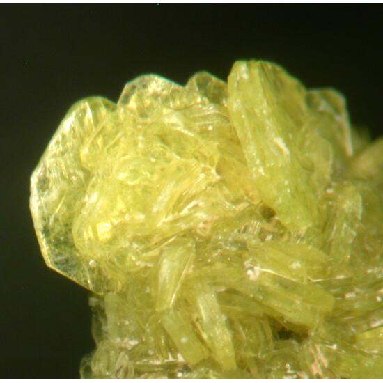 Autunite
