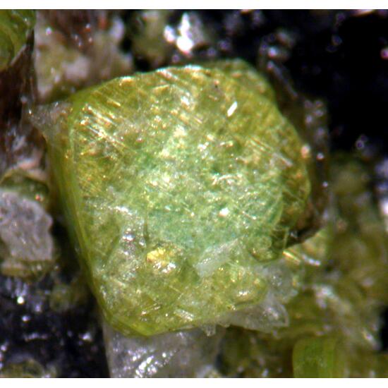Autunite