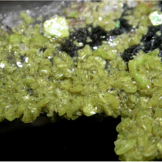 Autunite