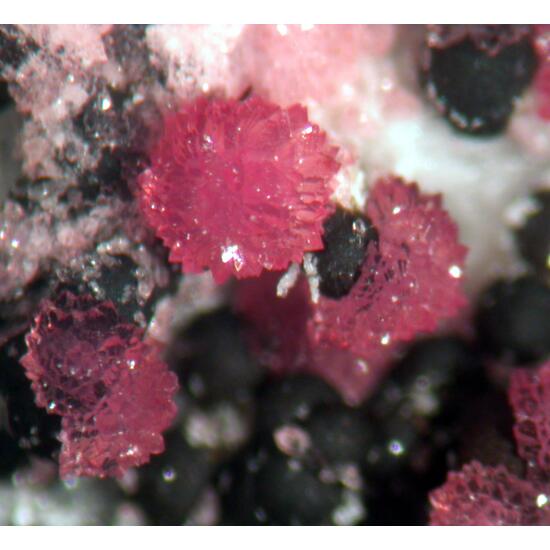 Variscite & Dufrénite