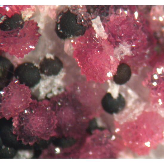 Variscite & Dufrénite