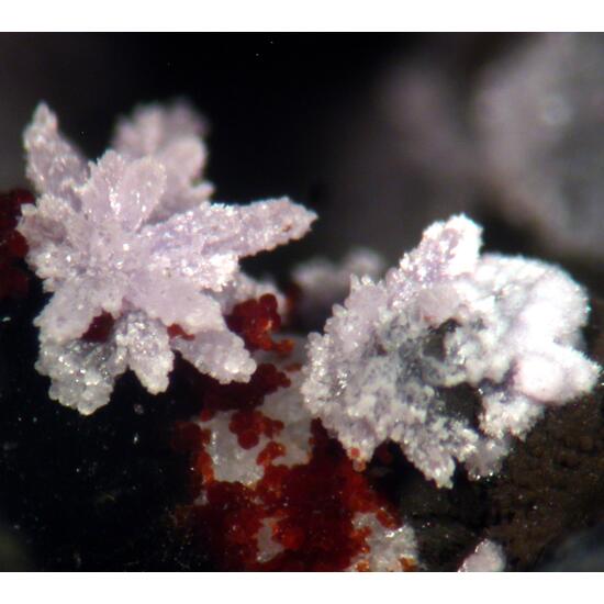 Strengite Cacoxenite Variscite & Beraunite