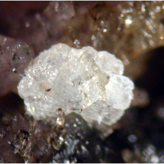 Triphylite Hureaulite Fairfieldite & Rockbridgeite