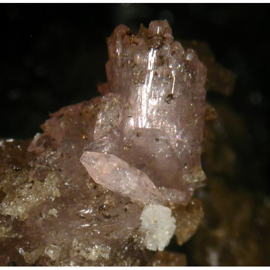 Triphylite Hureaulite Fairfieldite & Rockbridgeite