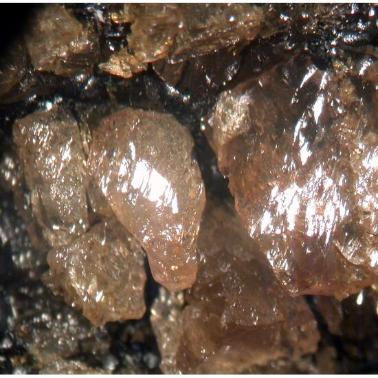 Triphylite Hureaulite Fairfieldite & Rockbridgeite