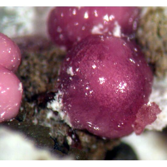 Variscite & Leucophosphite