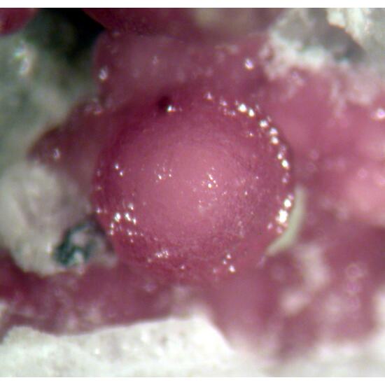 Variscite & Leucophosphite