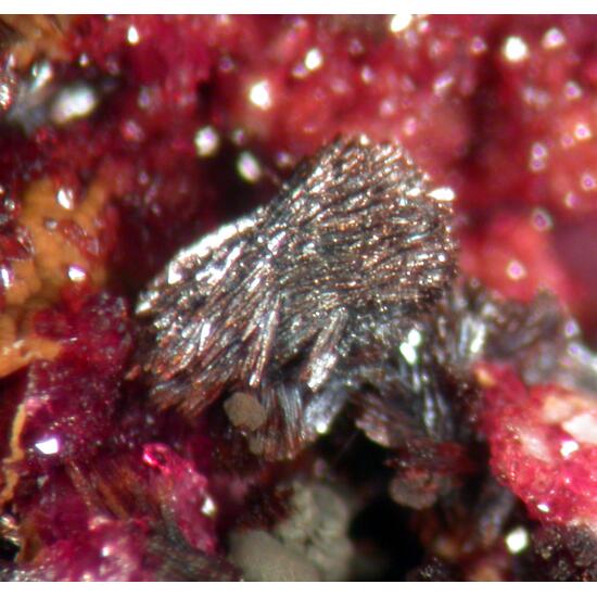 Bermanite Variscite & Goethite