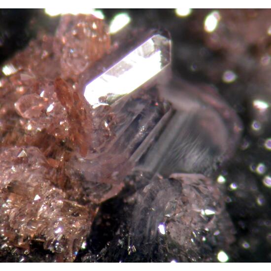 Phosphosiderite Rockbridgeite & Strengite