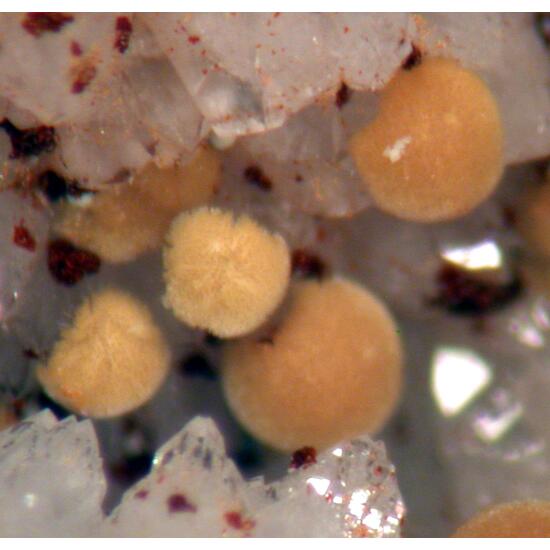 Meurigite-K & Lipscombite