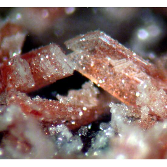 Montgomeryite Englishite & Whitlockite