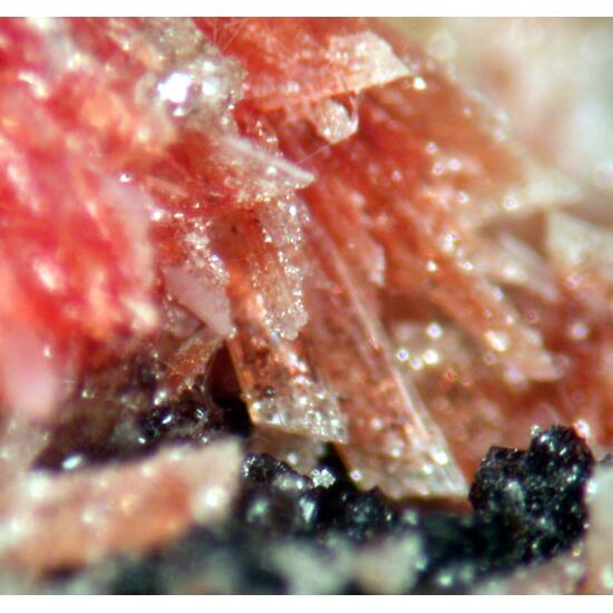 Montgomeryite Englishite & Whitlockite