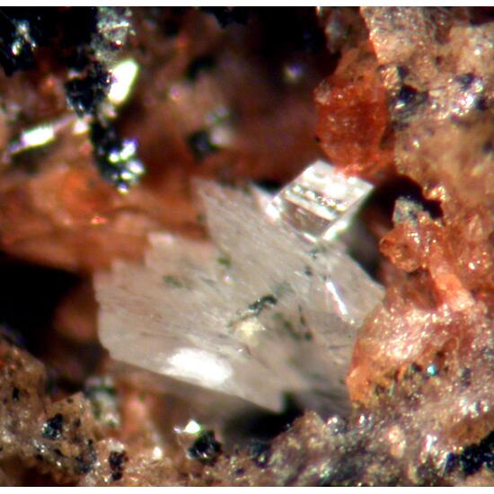 Fairfieldite & Whitlockite