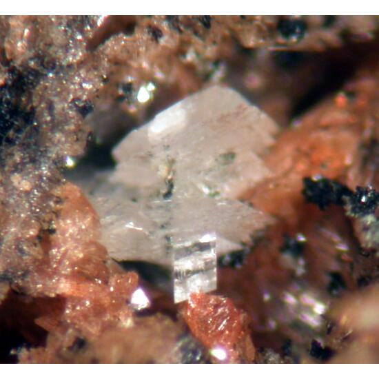 Fairfieldite & Whitlockite