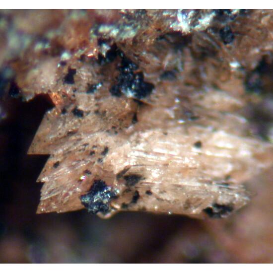 Fairfieldite & Whitlockite