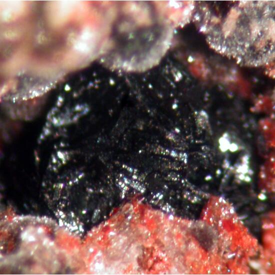 Robertsite Hureaulite & Frondelite