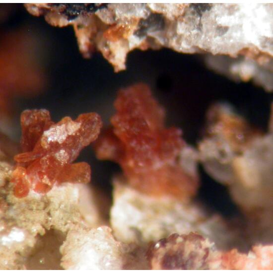 Gordonite & Jahnsite