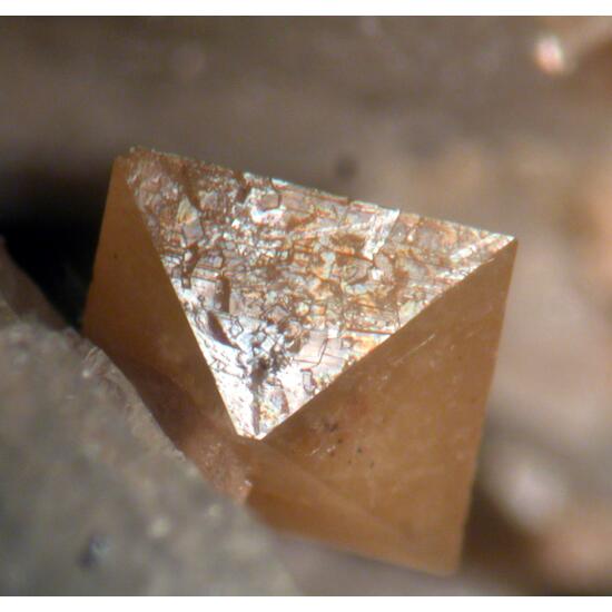 Xenotime-(Y) & Orthoclase