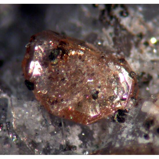 Monazite-(Ce) Tourmaline & Adularia