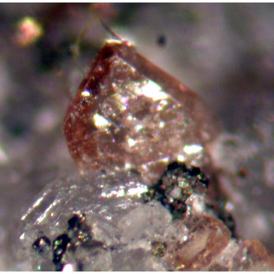 Monazite-(Ce) Tourmaline & Adularia
