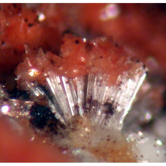 Tiptopite Montgomeryite Robertsite Englishite & Roscherite