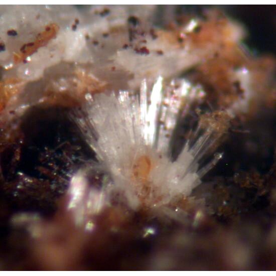 Tiptopite Montgomeryite Robertsite Englishite & Roscherite