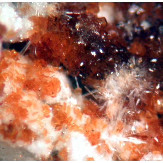 Tiptopite Montgomeryite Robertsite Englishite & Roscherite