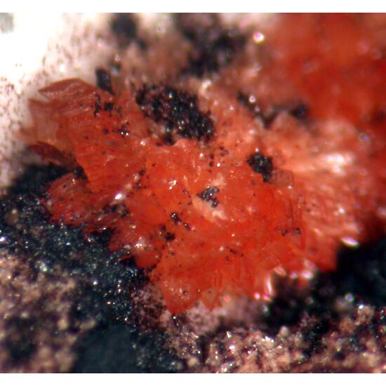 Tiptopite Montgomeryite Robertsite Englishite & Roscherite