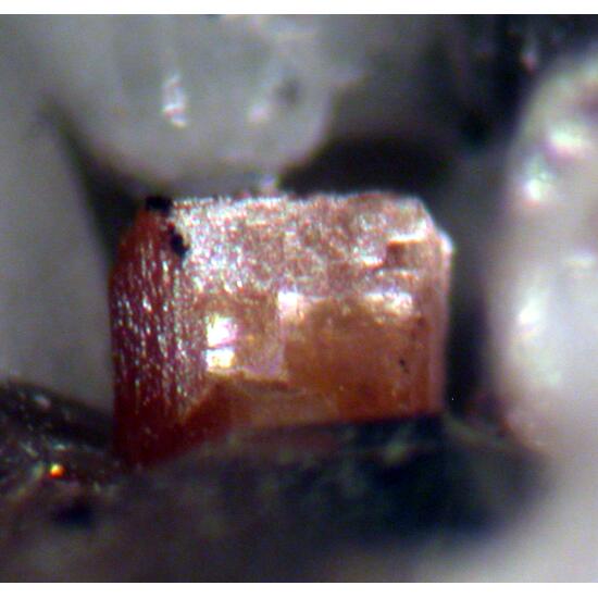 Aeschynite-(Y) & Quartz