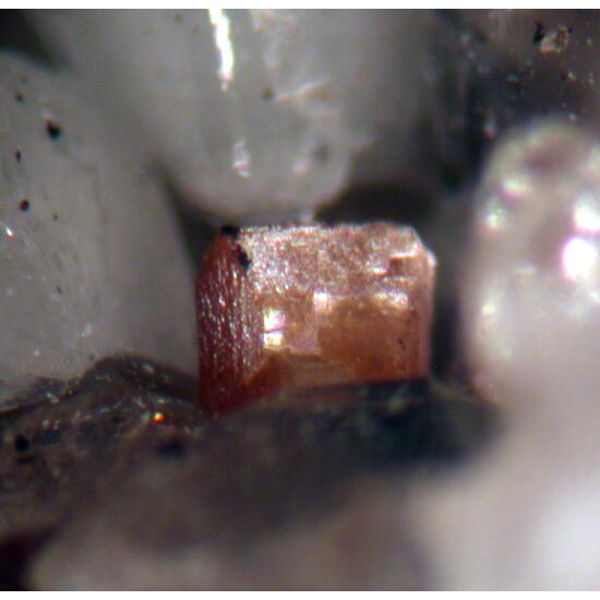 Aeschynite-(Y) & Quartz