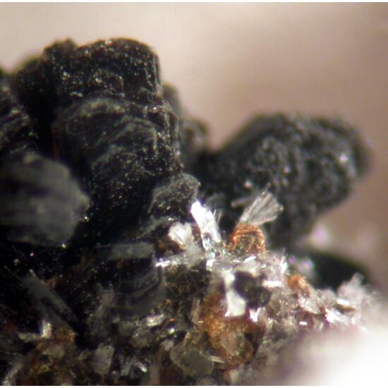 Allanite-(Ce) & Stilbite