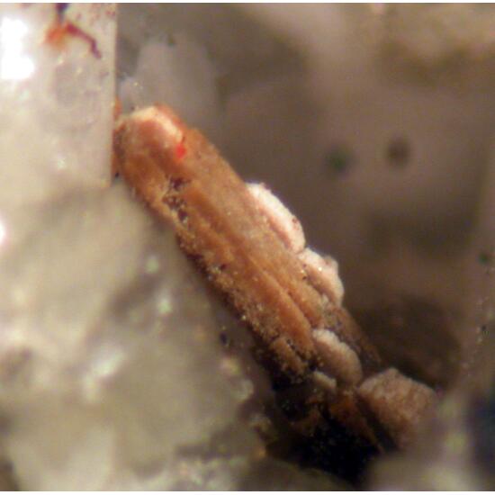 Euxenite-(Y) Thorite & Fluorite