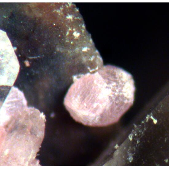 Calcioancylite-(Nd) & Gadolinite-(Y)