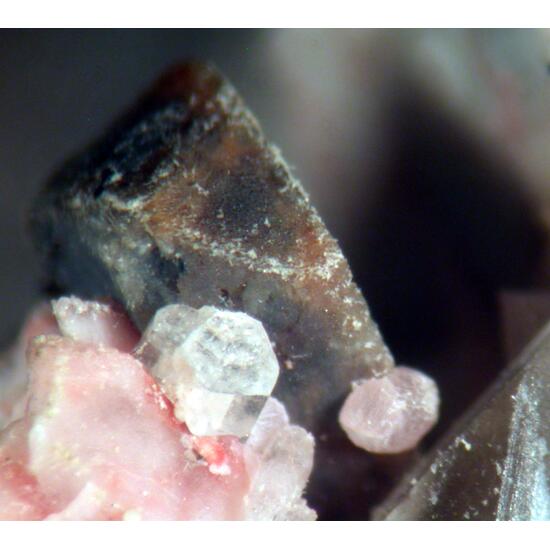 Calcioancylite-(Nd) & Gadolinite-(Y)