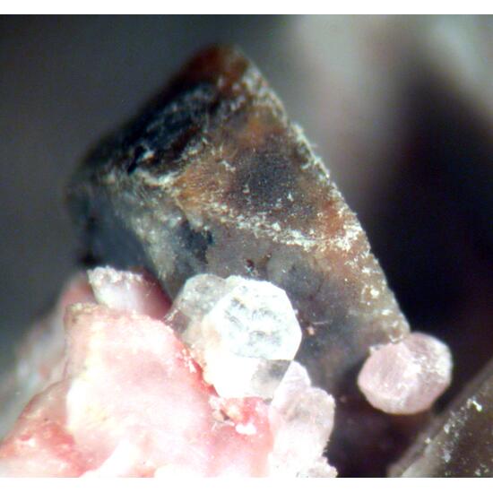 Calcioancylite-(Nd) & Gadolinite-(Y)