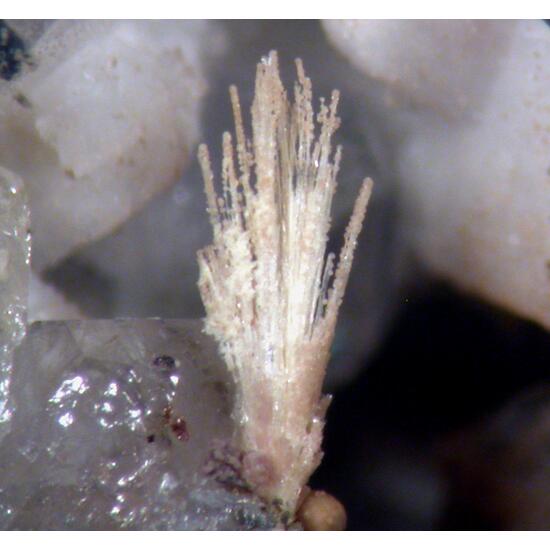 Jervisite & Thortveitite